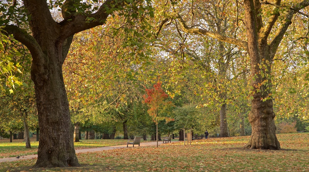 Parque de St. James ofreciendo un parque y los colores del otoño