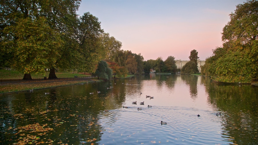 St. James Park
