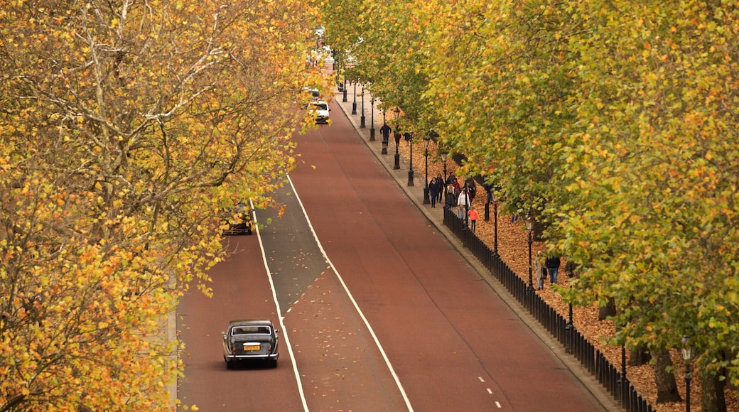 Wellington Arch showing autumn colours