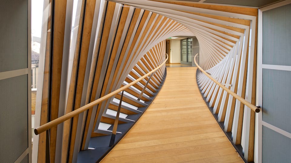 Royal Opera House which includes modern architecture and interior views