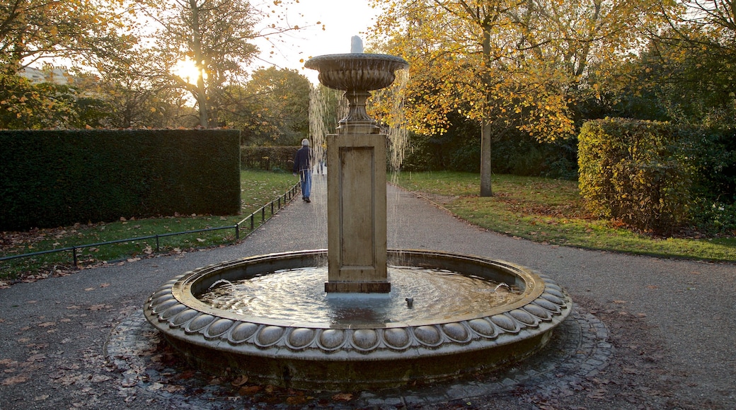 Regent\'s Park which includes autumn leaves, a sunset and a fountain