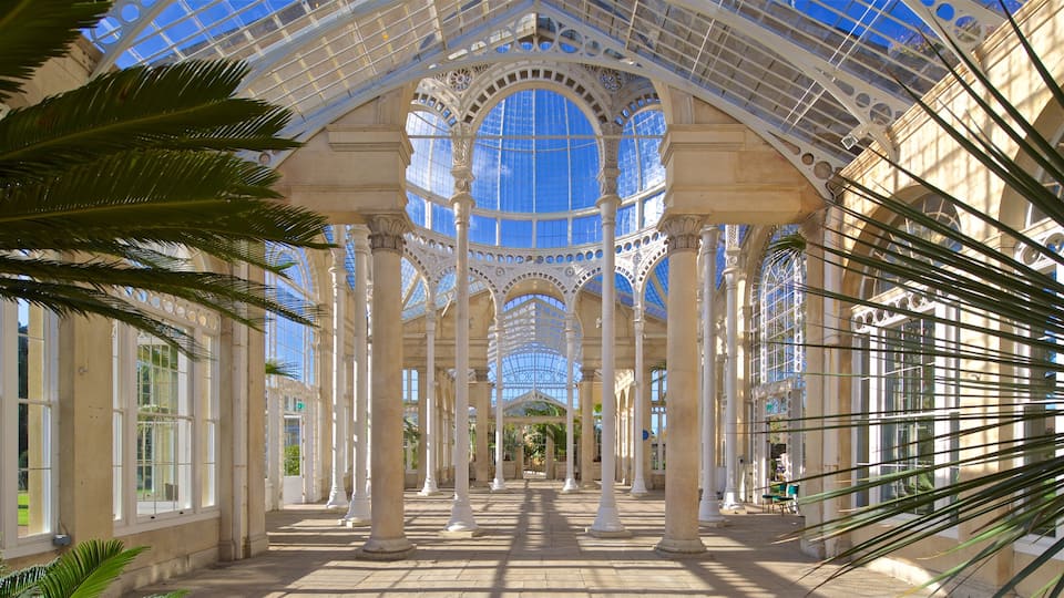 Syon Park mostrando vista interna e oggetti d\'epoca