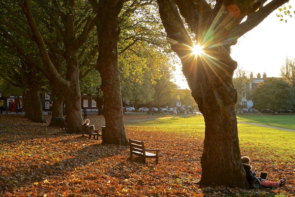 Richmond Green featuring a sunset, autumn colours and a park