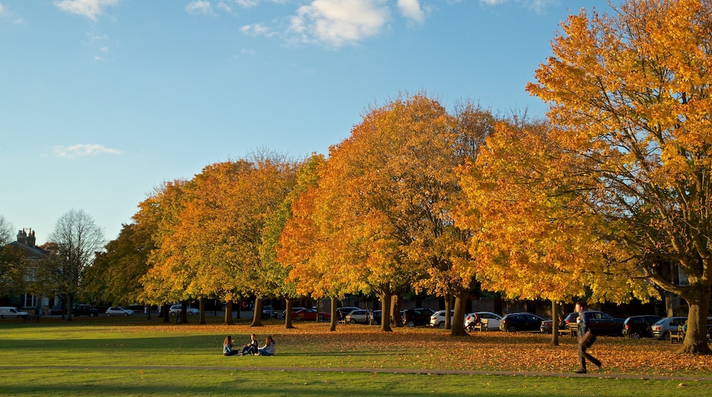 Richmond Green showing autumn leaves and a garden as well as a small group of people