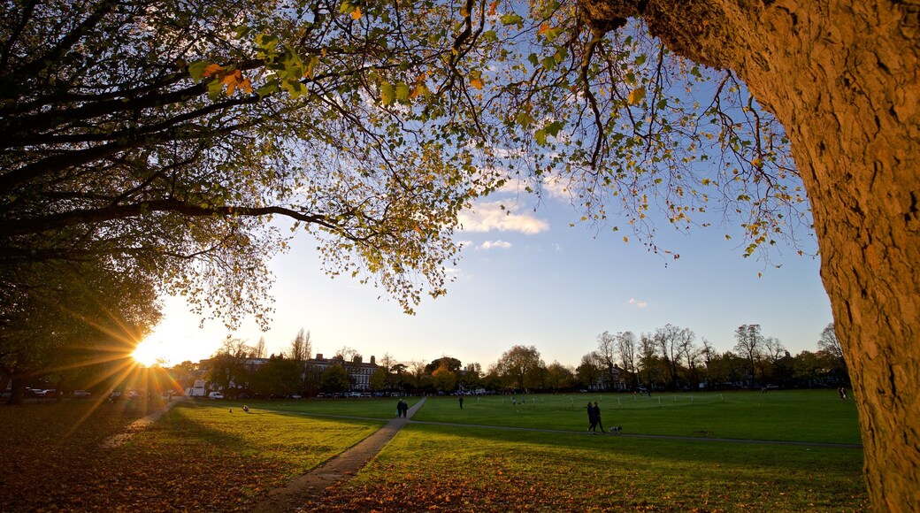 Richmond Green featuring autumn leaves, a sunset and a park