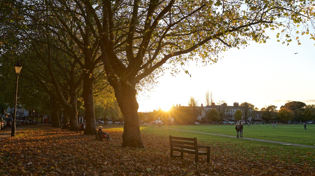 Richmond Green som viser en solnedgang, efterårsfarver og en have