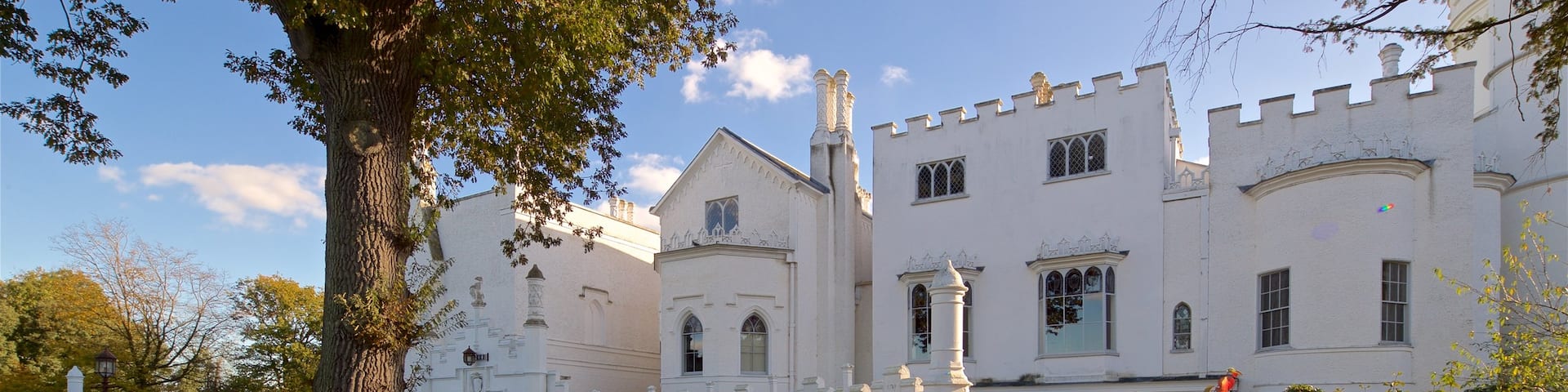 ストロベリー ヒル 表示 城 と 遺跡