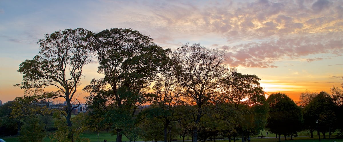 Primrose Hill featuring a sunset, landscape views and a garden