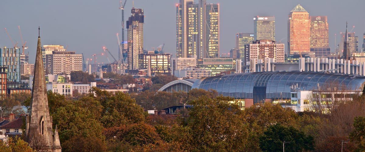 Primrose Hill showing landscape views, skyline and a city