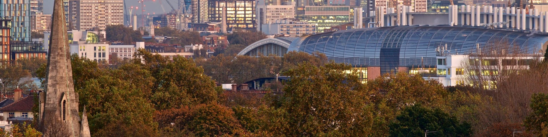 Primrose Hill showing a city, skyline and landscape views
