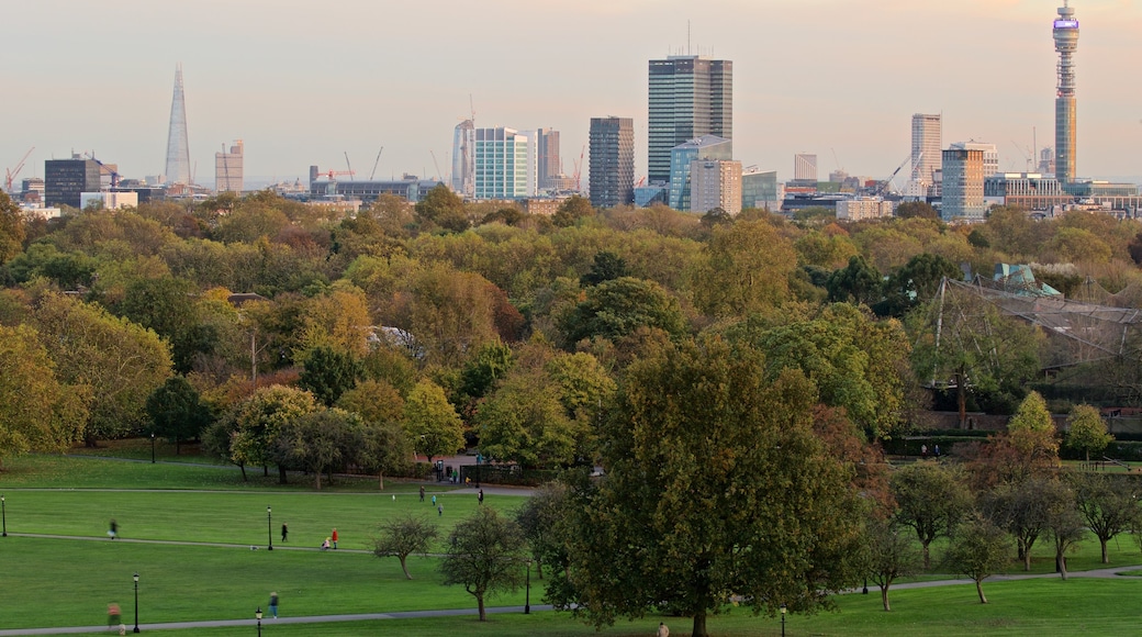 Primrose Hill showing a city, skyline and a garden