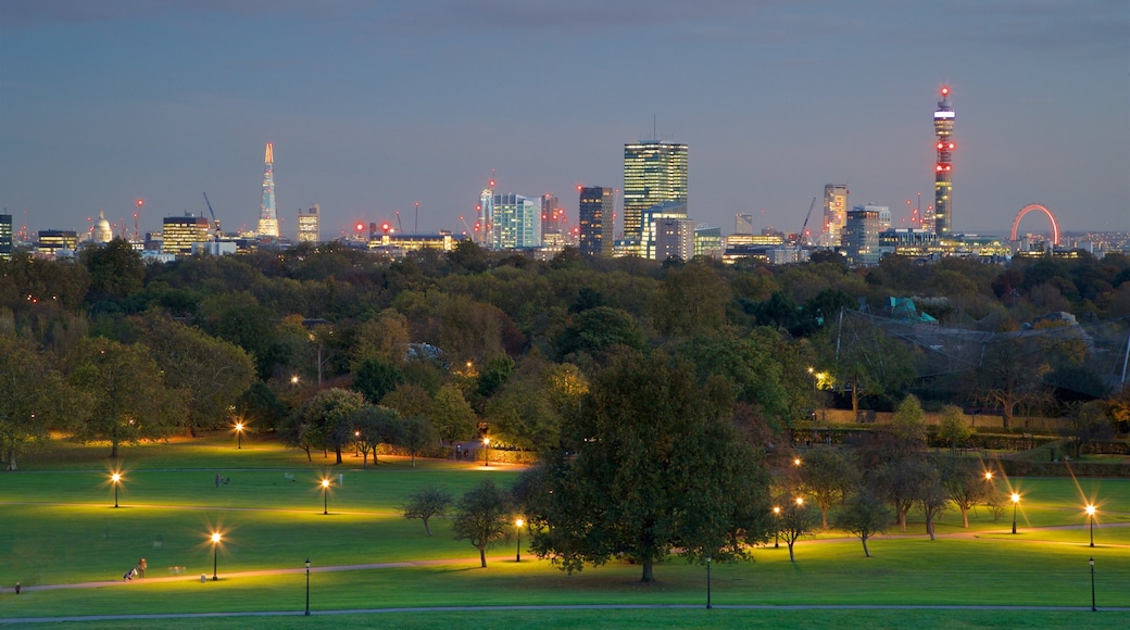 Primrose Hill que inclui paisagem, linha do horizonte e cenas noturnas