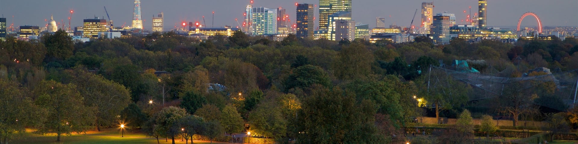 Primrose Hill showing skyline, landscape views and night scenes