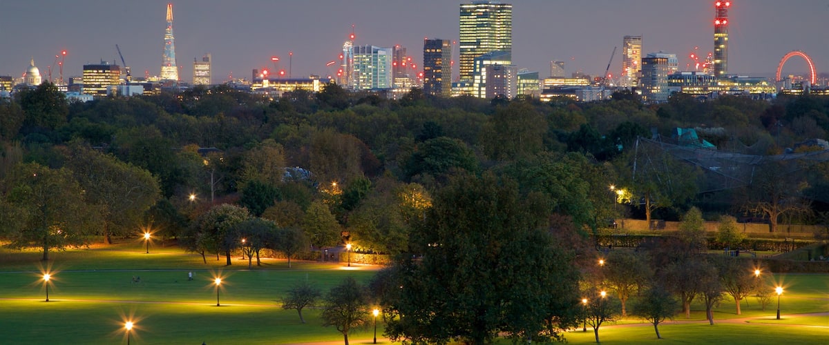 Primrose Hill showing landscape views, skyline and a garden