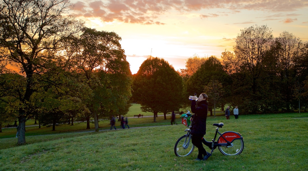 Primrose Hill che include tramonto, parco e bicicletta