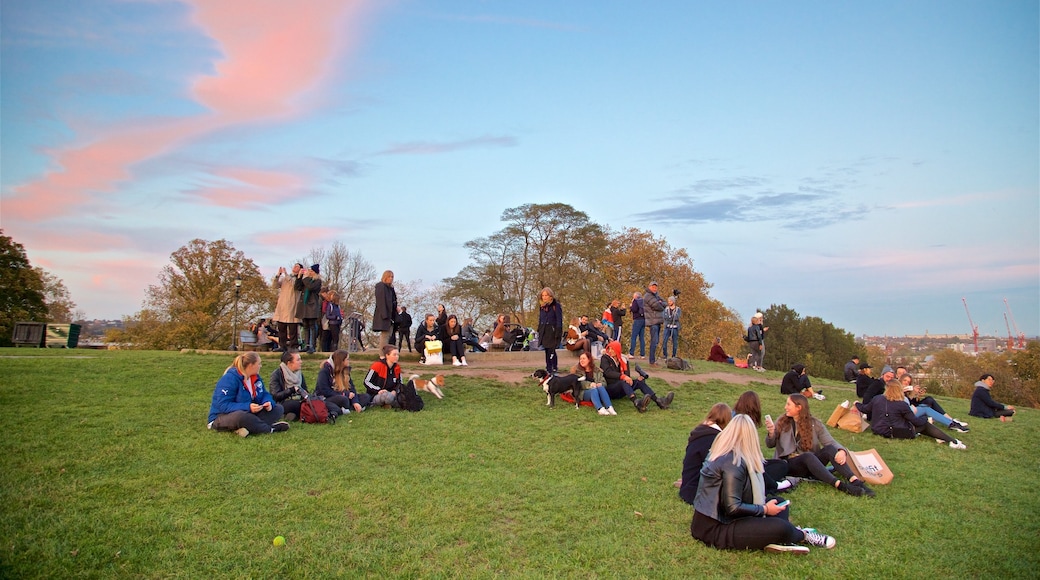 Primrose Hill