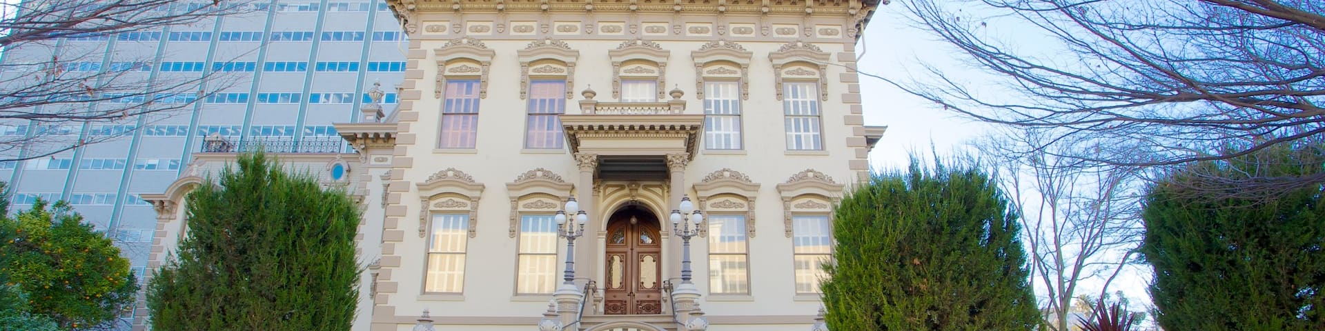 Leland Stanford Mansion State Historic Park showing a city, heritage architecture and a garden