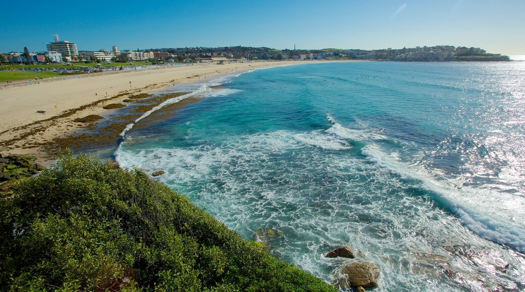Bondi Beach which includes a sandy beach