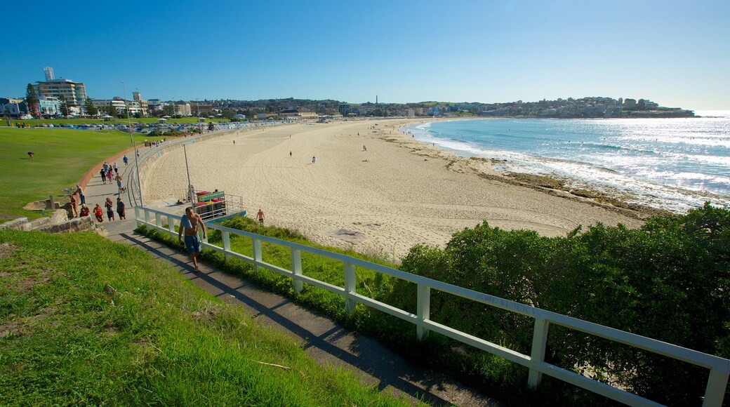 Bondi Beach which includes landscape views, a coastal town and a sandy beach