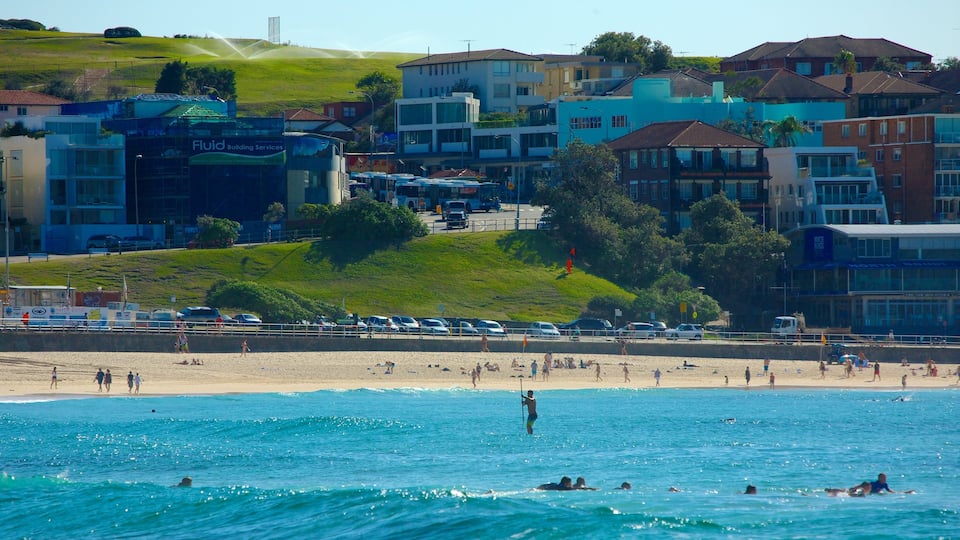 Bondi Beach mit einem Küstenort, Surfen und Strand