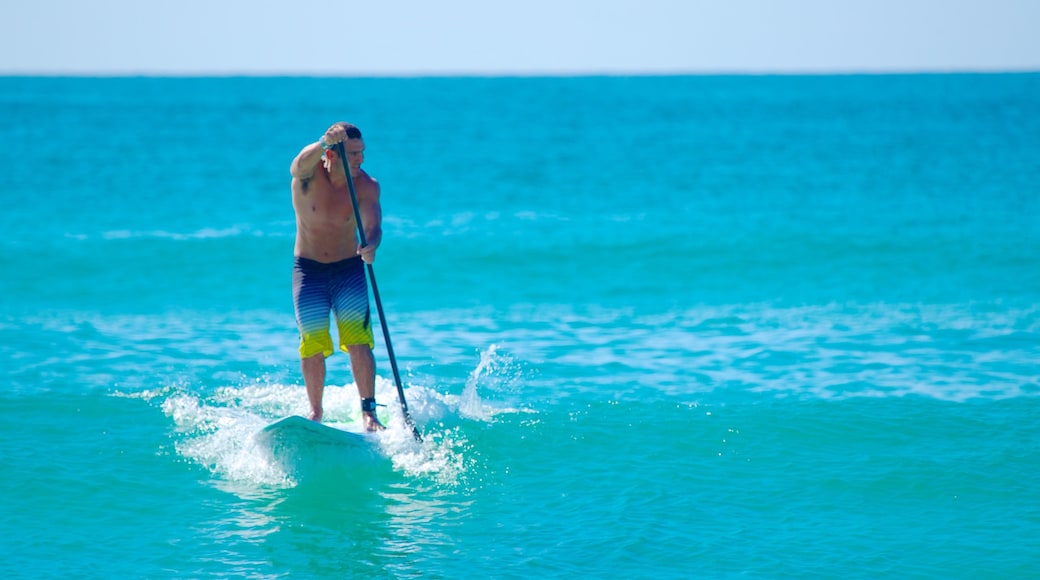 Bondi Beach fasiliteter samt surfing og tropisk landskap i tillegg til en mann