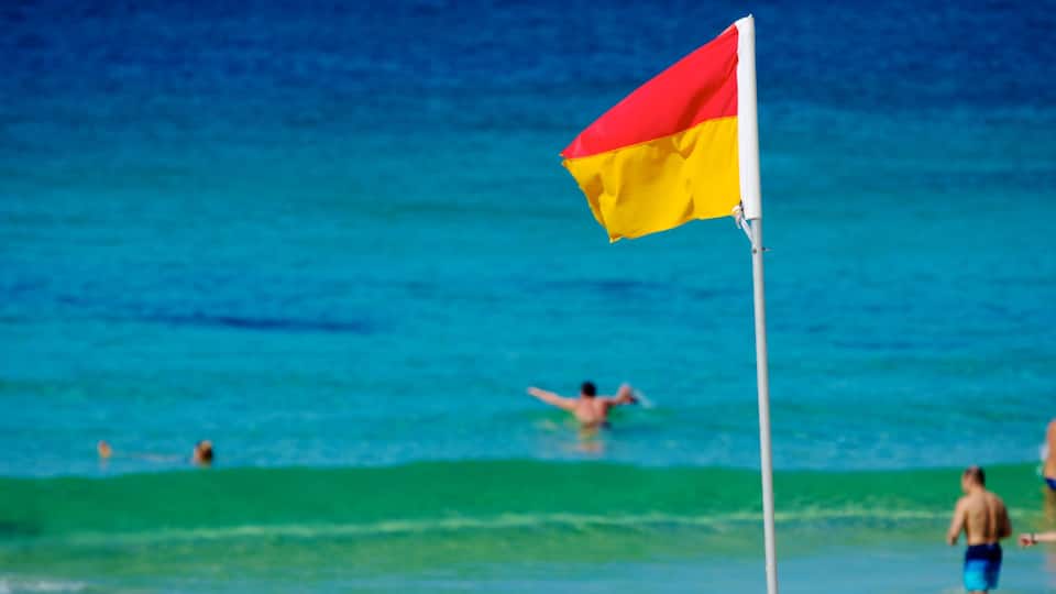 Bondi Beach das einen allgemeine Küstenansicht und Schwimmen