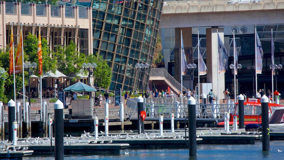 Darling Harbour mit einem Bucht oder Hafen