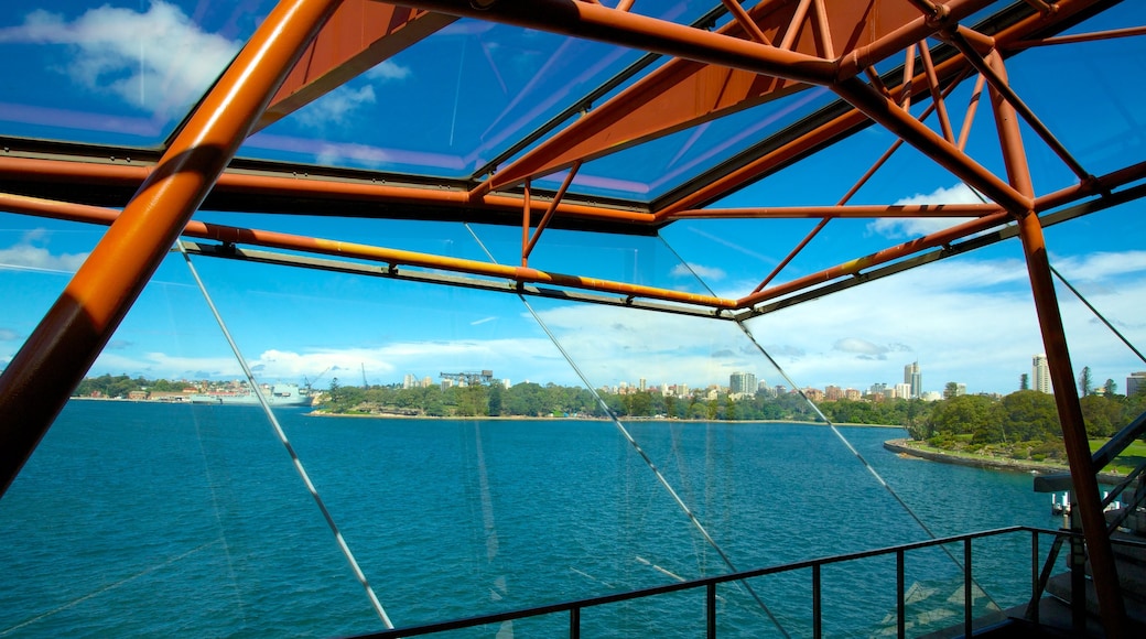 Sydney Opera House showing general coastal views, music and modern architecture