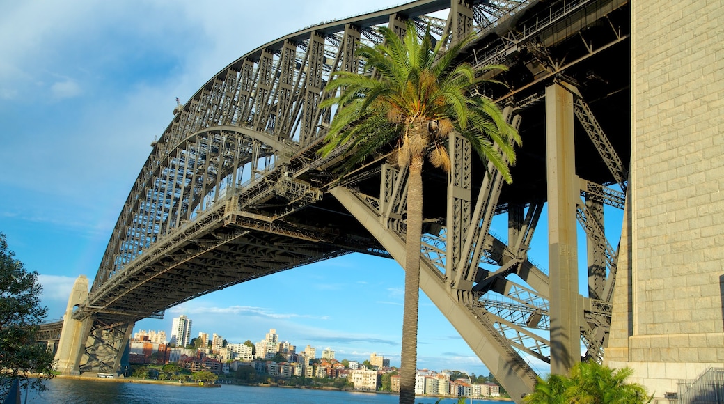 Sydney Harbour Bridge showing a bridge, a bay or harbor and a city