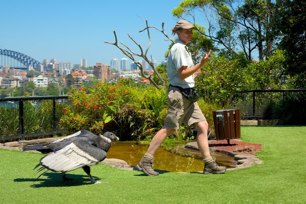 Taronga Zoo featuring zoo animals and bird life as well as an individual male
