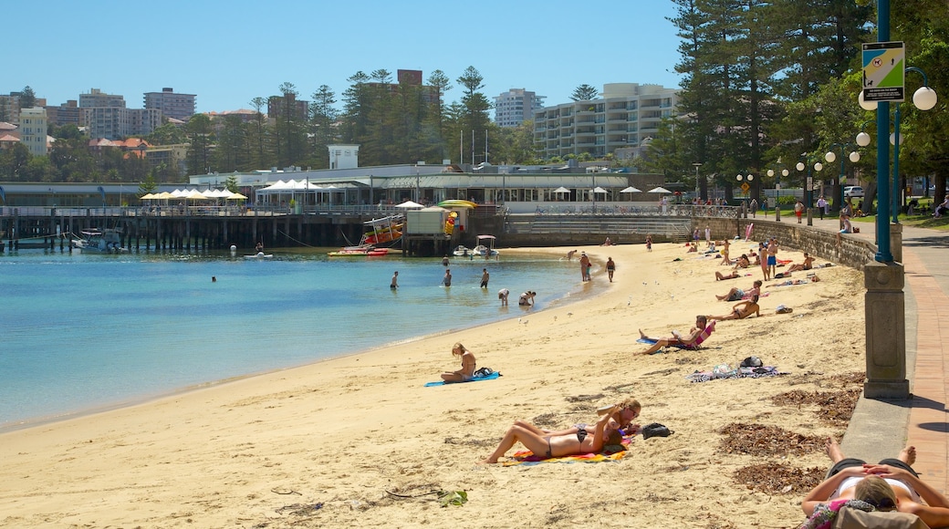 Manly Beach featuring swimming, a beach and a coastal town