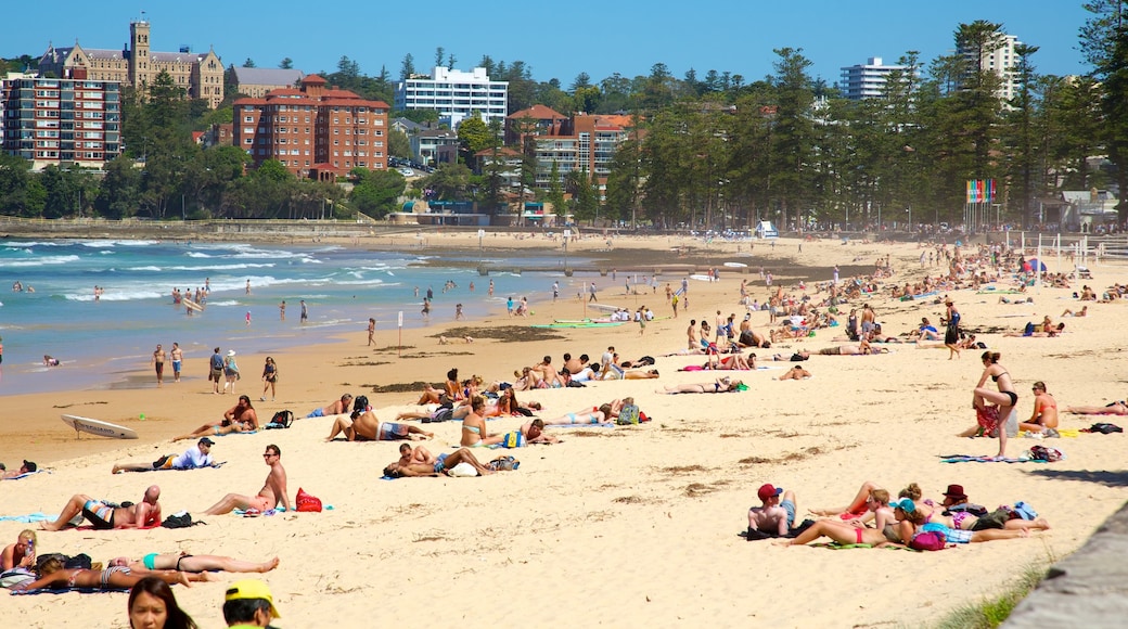 Manly Beach which includes swimming, tropical scenes and a coastal town