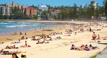 Playa Manly que incluye una playa, una localidad costera y escenas tropicales