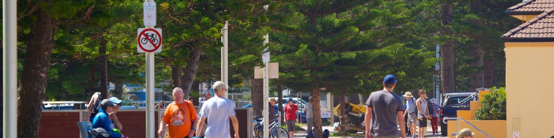Queenscliff Beach, Sydney, Nova Gales do Sul, Austrália