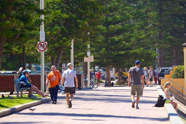 Manly Beach featuring a city and street scenes as well as a small group of people