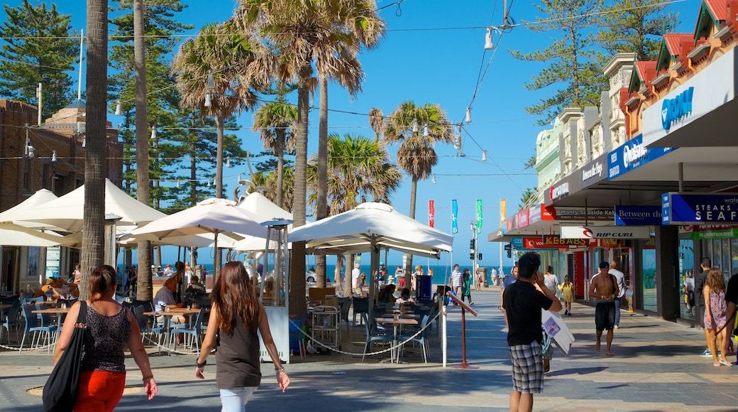 Manly Beach which includes tropical scenes, outdoor eating and street scenes