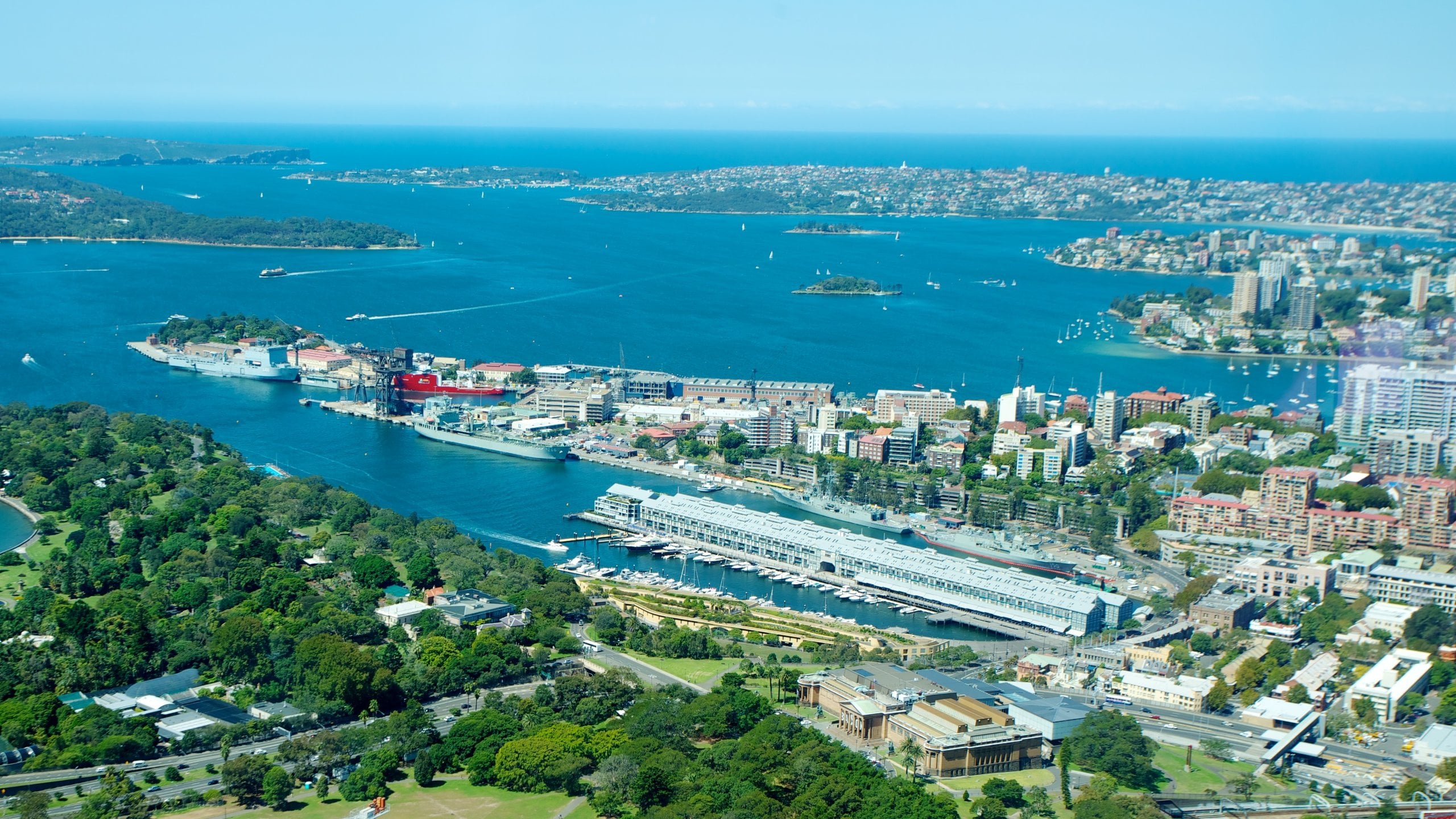 Sydney Tower which includes a city and a bay or harbour