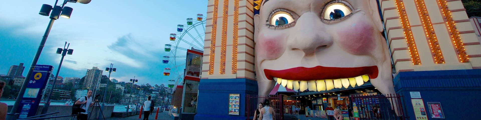 Luna Park montrant ville et balades