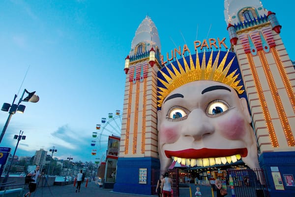 Luna Park showing a city and rides