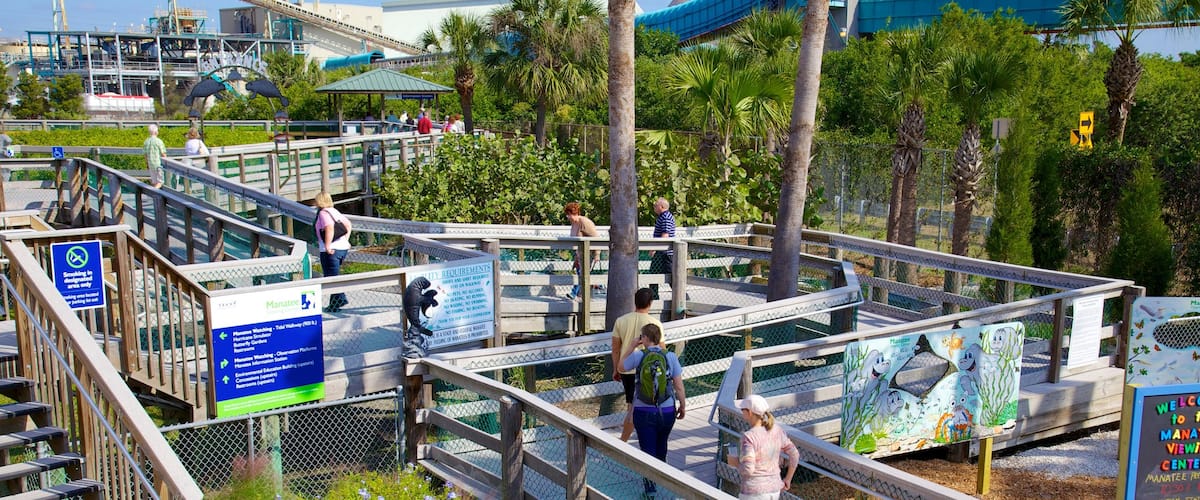 Manatee Viewing Center which includes views and modern architecture