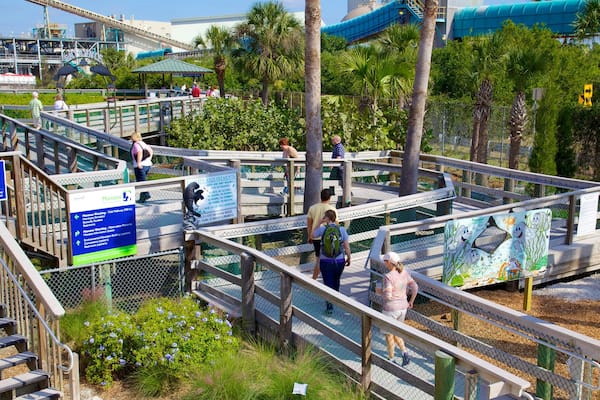 Manatee Viewing Center presenterar modern arkitektur och utsikter