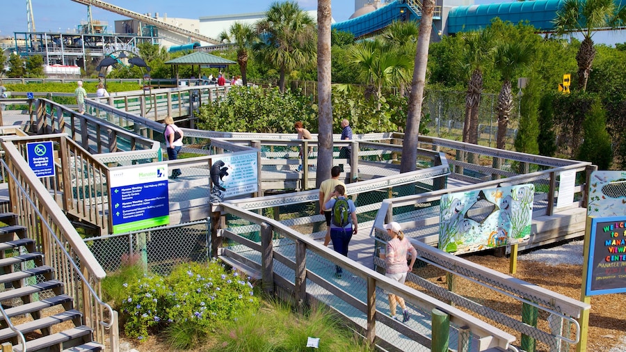 Manatee Viewing Center