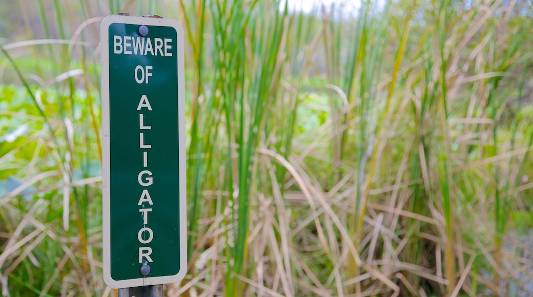 Al Lopez Park welches beinhaltet Beschilderung und Garten