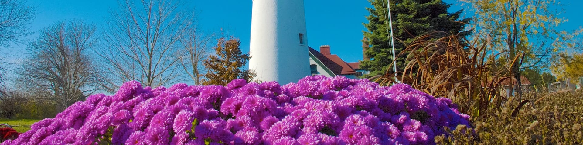 Wind Point Lighthouse featuring a lighthouse, heritage architecture and flowers