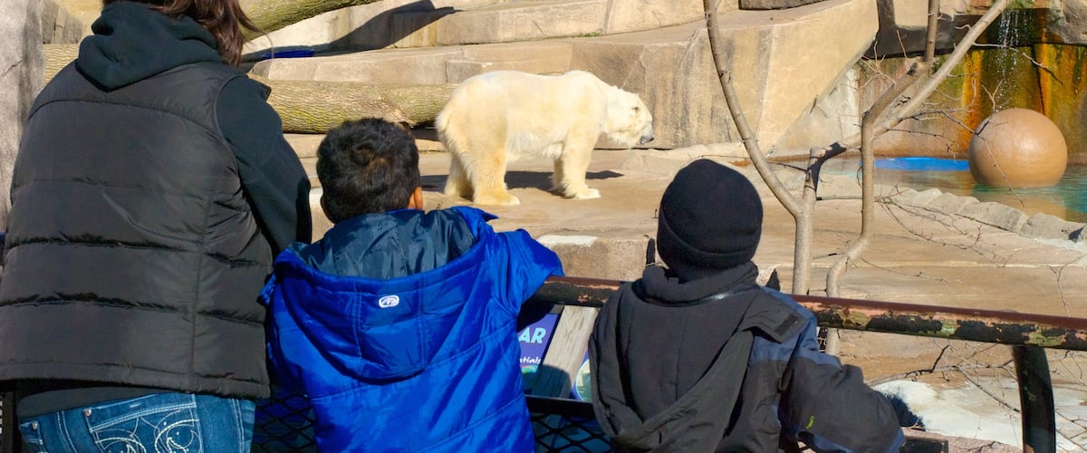 Milwaukee County Zoo featuring dangerous animals and zoo animals as well as a family