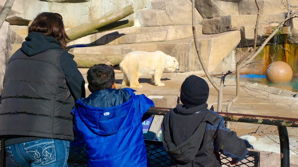 Zoo del condado de Milwaukee que incluye animales peligrosos y animales de zoológico y también un pequeño grupo de personas