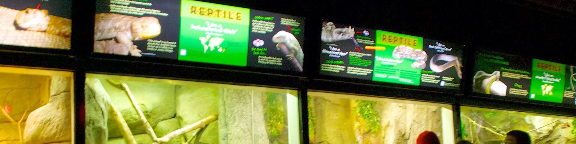 Zoo del condado de Milwaukee que incluye vistas interiores y animales del zoológico y también un pequeño grupo de personas