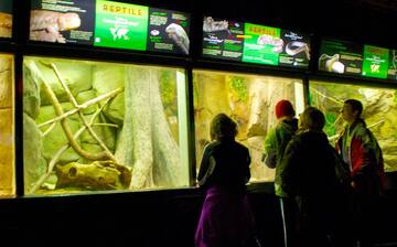 Visit Milwaukee County Zoo in Milwaukee | Expedia