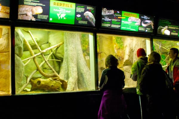 Milwaukee County Zoo qui includes animaux de zoo et vues intérieures aussi bien que petit groupe de personnes