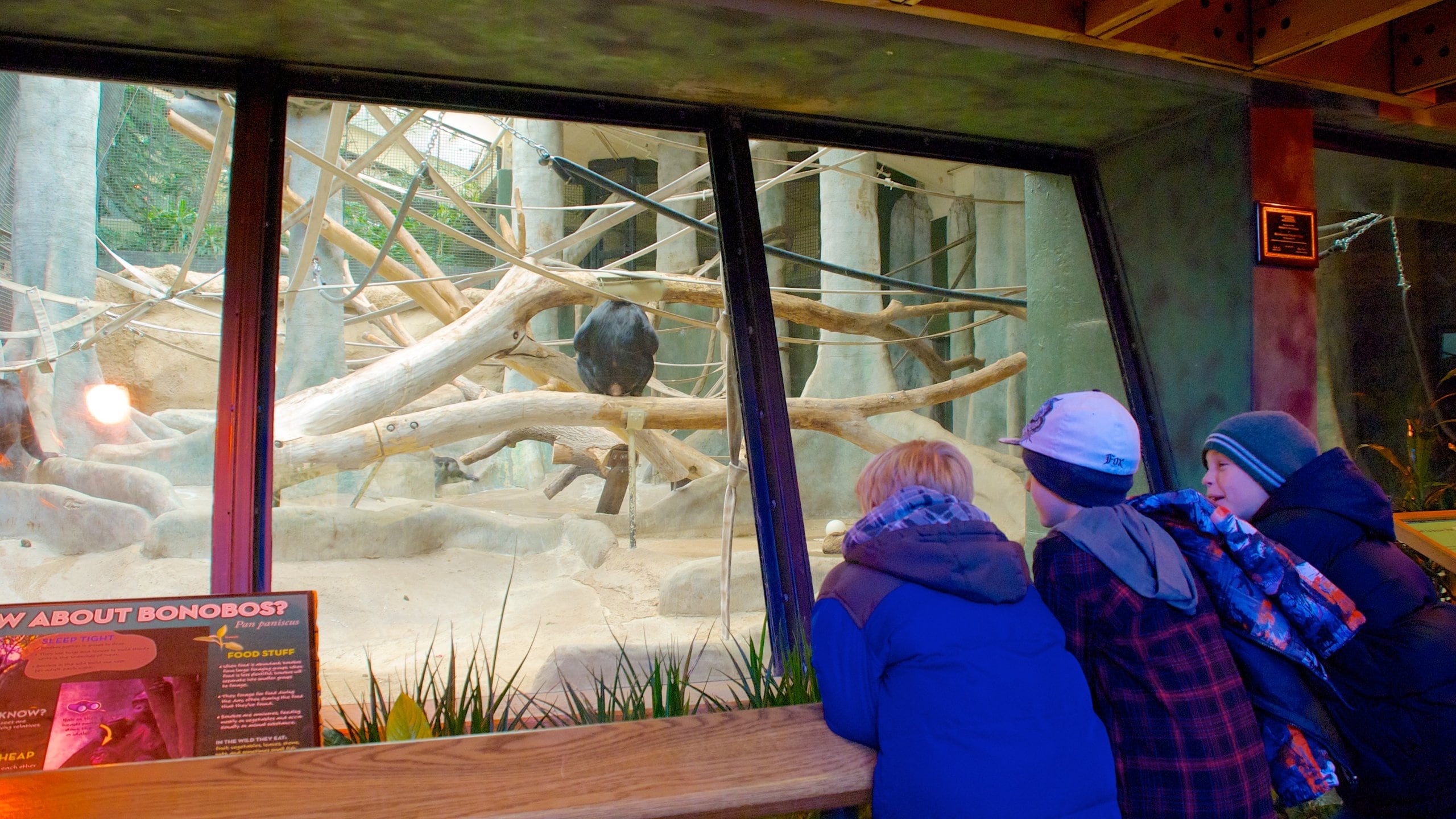 Milwaukee County Zoo featuring interior views and zoo animals as well as children